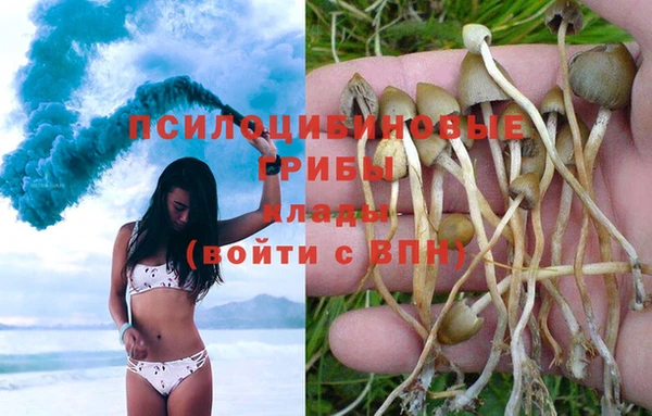 Альфа ПВП Балахна