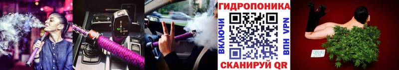 Канабис сатива  Новый Оскол 